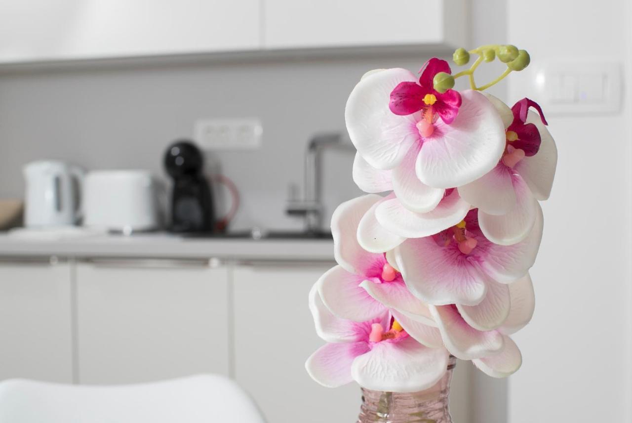 Cozy Apartments ลูบลิยานา ภายนอก รูปภาพ